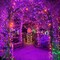 kemooie 300 LED Orange&#x26;Purple Halloween Lights, 99FT Connectable 8 Lighting Modes with Memory Function Plug in, Waterproof for Outdoor Indoor Halloween Garden Roof Decorations (Purple and Orange)